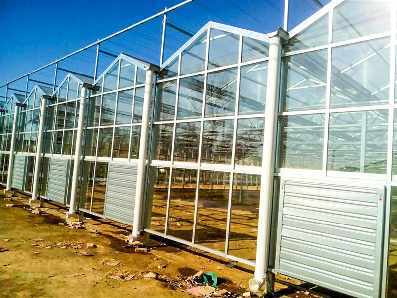 连栋玻璃温室建设