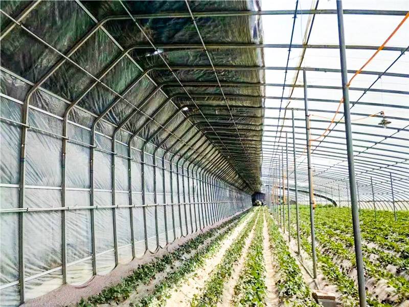钢管日光大棚