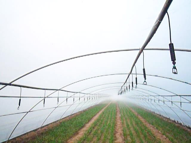 温室大棚灌溉系统