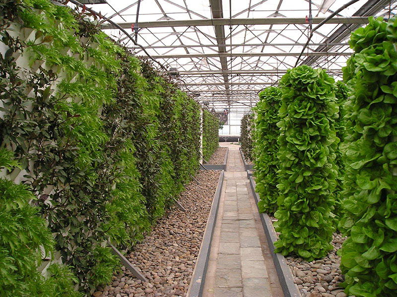 现代化无土栽培温室